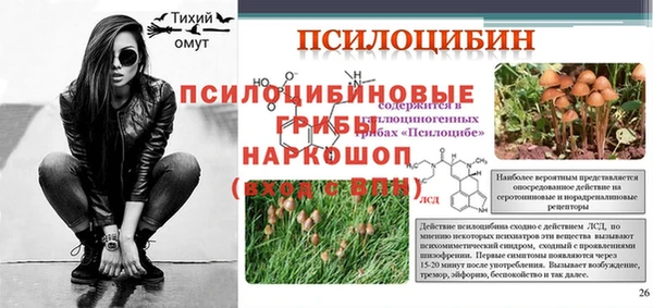 PSILOCYBIN Семикаракорск