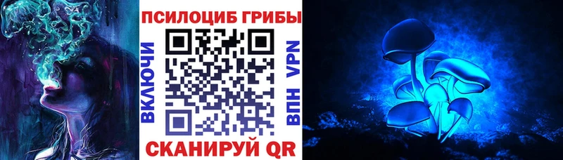 omg зеркало  Кимры  Псилоцибиновые грибы прущие грибы 