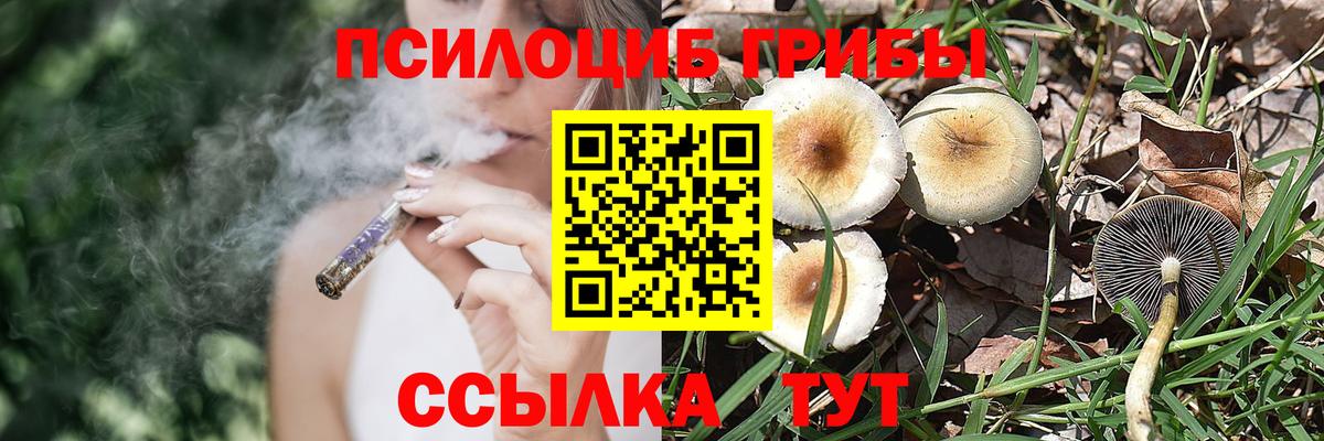 Псилоцибиновые грибы Cubensis  Галлюциногенные грибы мухоморы  купить закладку  Кимры  Вход с VPN 