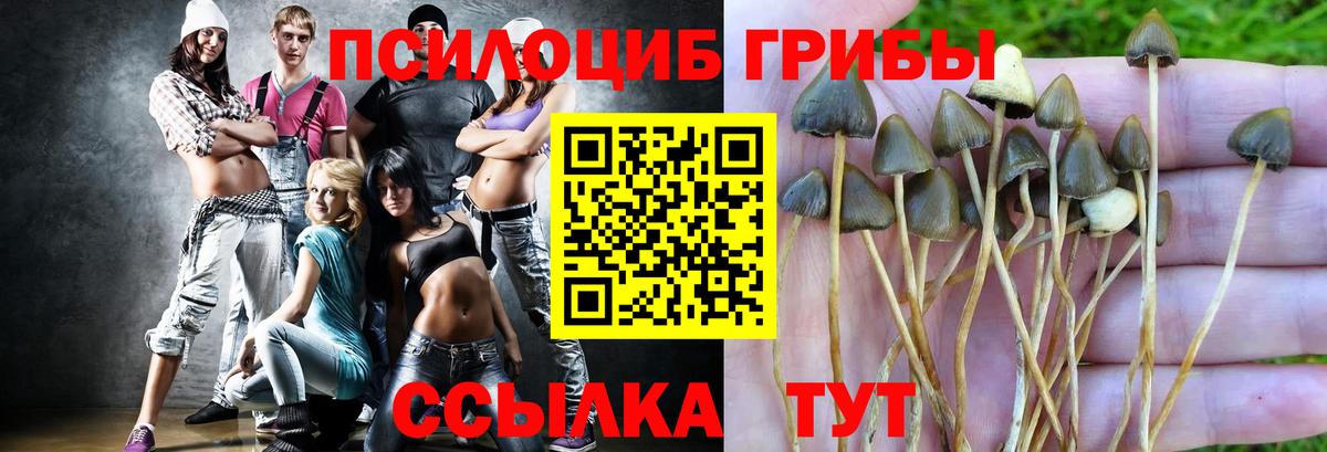 Галлюциногенные грибы GOLDEN TEACHER Кимры